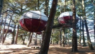 Une experience incroyable, l'harmonie totale avec la nature... Qui n'a jamais rêvé un jour de dormir dans un arbre ? 