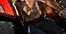 Photos Gay Beaux mecs
