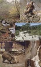 Refugio De Pescadores