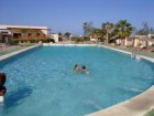 Restaurante Oasis