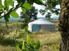 Domaine Les Truffiers