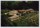 Le Grand Jardin 