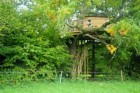 Les Noctam'Bulles - Cabanes dans les arbres