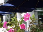 Hotel Continental **
