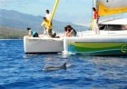 Grand Bleu - Sorties en mer