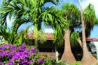 Le Panoramic