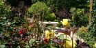 Sojapi Cabanes dans les arbres et Yourte