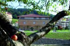 Hotel Dolarea