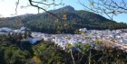 Casas Rurales Los Algarrobales