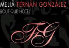 Hotel Melia Boutique Fernan Gonzalez