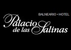Palacio De Las Salinas 