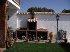 El Olivo Del Moreno