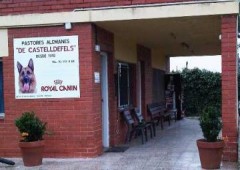 Residencia Canina Y Felina Rolke