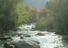 Hostal La Piedra Del Mediodía