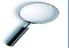 Bosch Detectives