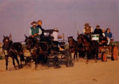 Incentivos Doñana