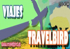 Travel Bird