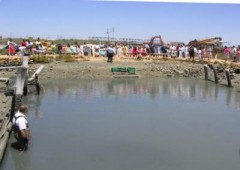 Salinas Y Celebraciones San Vicente