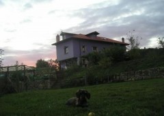 El Buho De La Remolina