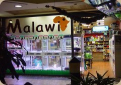 Tienda De Mascotas Malawi