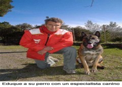Escuela De Educacion Canina Los Guardianes