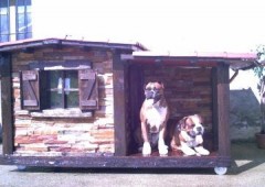 Chalets Para Perros