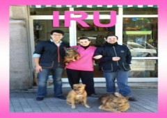 Peluquería Canina Y Tienda Iru