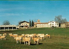 Finca La Coromina De Falgars