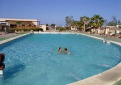 Restaurante Oasis