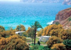 Camping El Portus