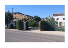 Villa La Palmera 