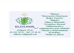 Eldanor Viveros 