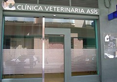 Clinica Veterinaria Asis 