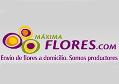 Maxima Flores 