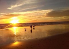 Bagus Vacaciones