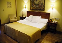 Hotel Casona De La Reyna ***