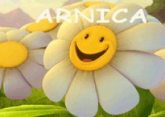 Centro De Masaje Arnica