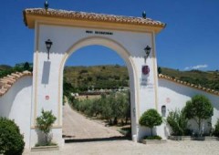 Bodega Joaquin Fernandez