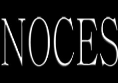 Noces Boutique Atelier