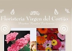 Floristeria Virgen Del Cortijo 