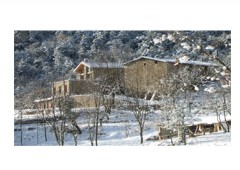 Casa Palou 