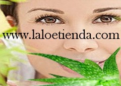 Laloe Tienda 