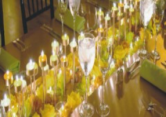 Vignal Events