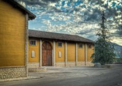 Bodegas Carchelo