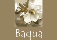 Baqua
