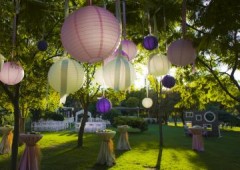Krisalid'events