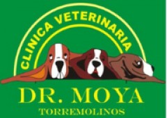 hospital Vetersalud Dr. Moya