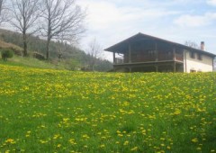 Casa Rural La Borda Martinea