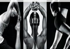 Wellness & Trainer