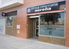 Clinica Veterinaria Noreña